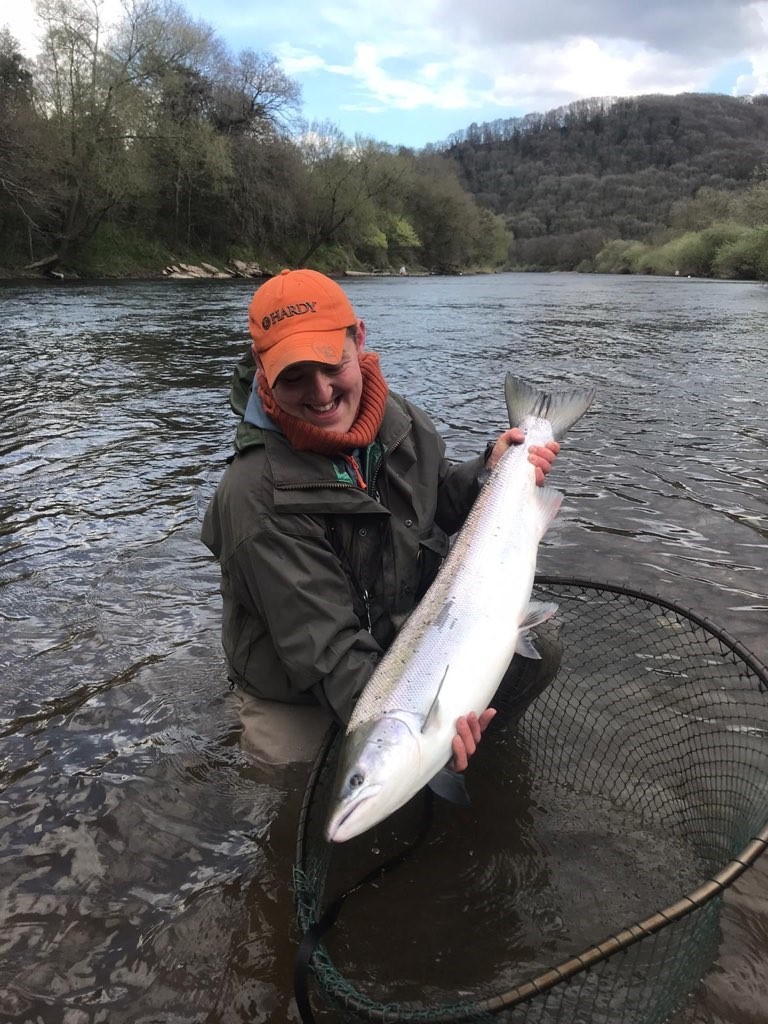 Wyesham 22 pounder